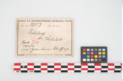 Etikett zu Bronzegürtelblech (NHMW-PRAE-025857)